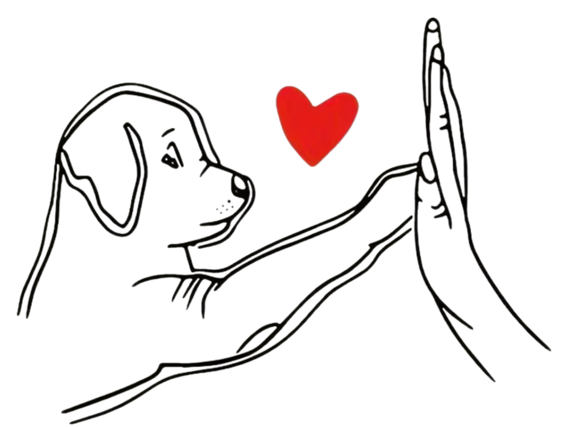 Vánoční a tlapkové png